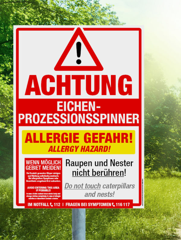 Hinweisschild beim Eichenprozessionsspinner im Wald mit Aufschrift Allergiegefahr