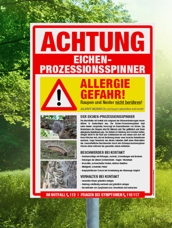 Hinweisschild Eichenprozessionsspinner Allergiegefahr mit Bildern und Informationen zur Raupe